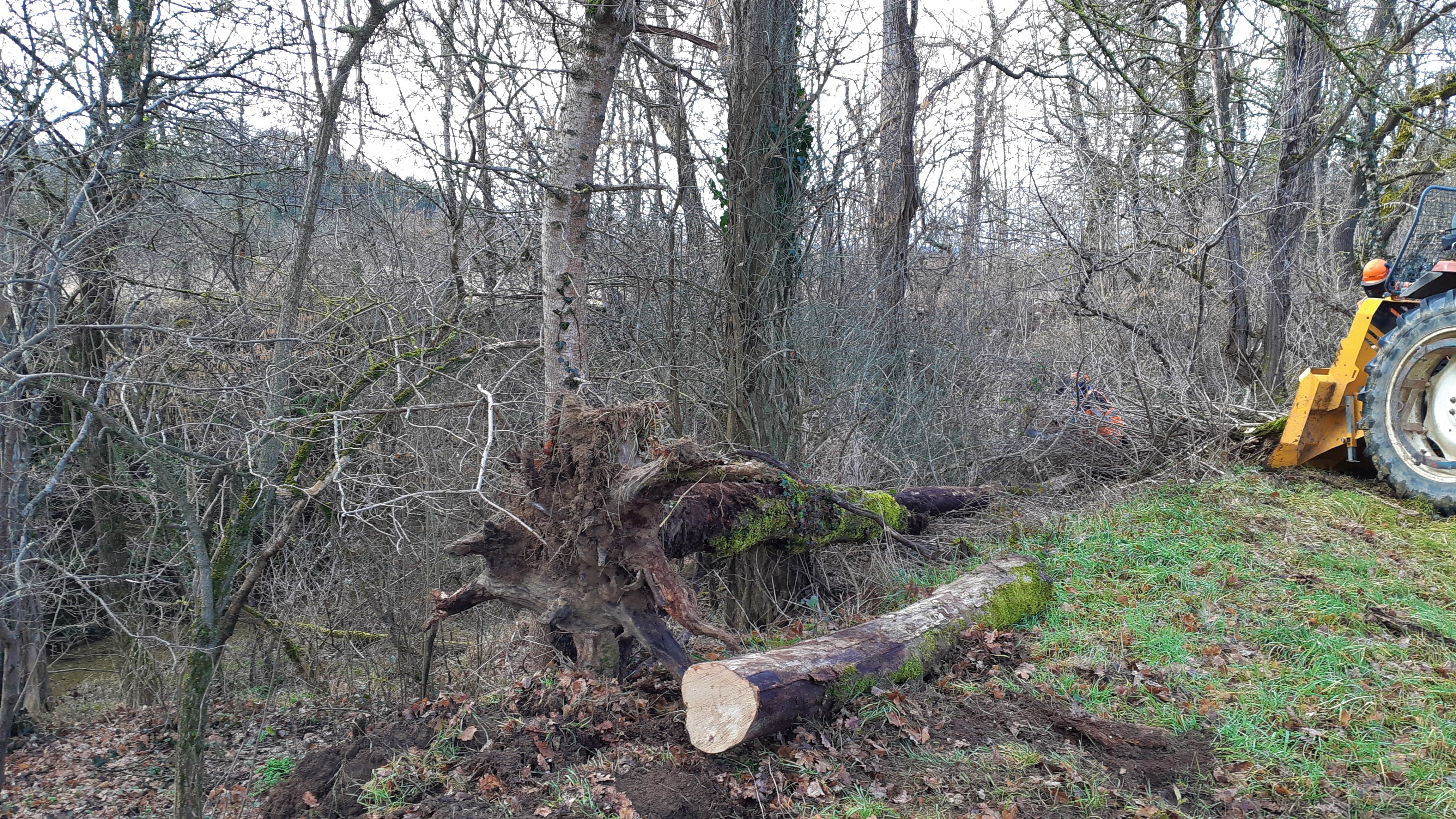 Les travaux d’entretien sur les cours d’eau ont débuté (Programme annuel 2022/2023)